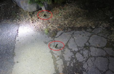 Kokkolassa yrittäjänaisen surma: tuomio julkistettu 7