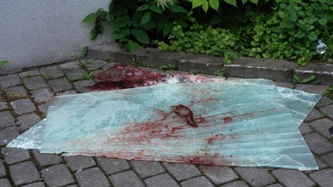Miksi Tikkurilan onnettomuuspaikan veriset jäljet jäivät siivoamatta? Taloyhtiön ja poliisin kommentit asiasta. 2 Miksi Tikkurilan onnettomuuspaikan veriset jäljet jäivät siivoamatta? Taloyhtiön ja poliisin kommentit asiasta. 1