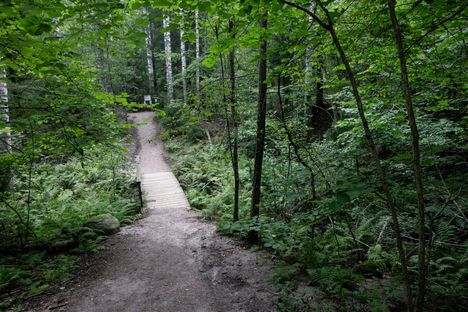 Nuuksio tekee paluun pian 6 Nuuksio tekee paluun pian 5