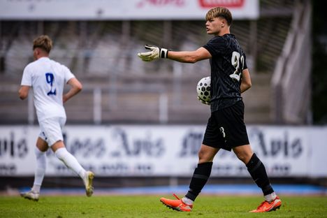 Pikkuhuuhkajat: Ruotsi ja Norja voitettavissa 4 Pikkuhuuhkajat: Ruotsi ja Norja voitettavissa 3