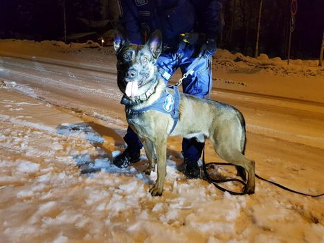 Poliisikoira Leevi ei ole valmis jäämään eläkkeelle. 4 Poliisikoira Leevi ei ole valmis jäämään eläkkeelle. 3