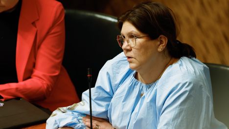 Ruorijuopumuksen promillerajan alennus, perussuomalaisten kansanedustaja Mira Nieminen esittää lakimuutosta 2 Ruorijuopumuksen promillerajan alennus, perussuomalaisten kansanedustaja Mira Nieminen esittää lakimuutosta 1