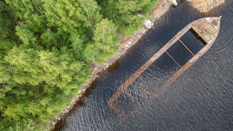 Saimaalla havaittiin poikkeuksellinen ilmiö kuivuuden seurauksena. 5
