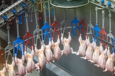 Suomalaiset kuluttivat viime vuonna ennätyksellisen paljon juustoa. 4 Suomalaiset kuluttivat viime vuonna ennätyksellisen paljon juustoa. 3