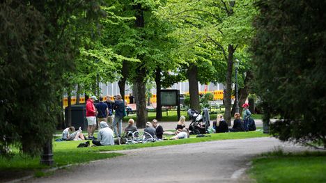 Tänään Helsingissä on runsaasti ilmaisia aktiviteetteja – tutustu vinkkilistaan. 1