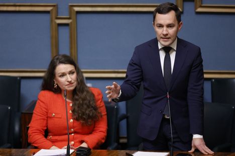 Wille Rydmanin leikkuri vaikuttaa järjestöihin 3