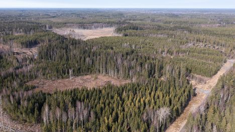 Porin räjähdetehtaan työmaan läheisyydestä pidätettiin kolme henkilöä Lounais-Suomen poliisin toimesta. 1