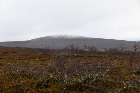 Pysäköinnistä neljässä kansallispuistossa tulee maksullista ensi viikolla 1