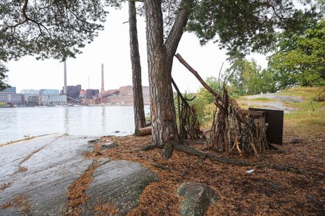 9-vuotiaan Adessan majaa tuhottiin toistuvasti – lapsen vastaus pysäytti tekijän 2 9-vuotiaan Adessan majaa tuhottiin toistuvasti – lapsen vastaus pysäytti tekijän 1