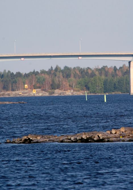 Alisa Vainio: Näin rakennettiin EM-kultaa ja historiallista voittomarginaalia 2 Alisa Vainio: Näin rakennettiin EM-kultaa ja historiallista voittomarginaalia 1