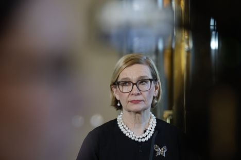 Razmyar sanoi hallituksen vihaavan järjestöjä – kokoomuslaiset kutsuvat väitettä vihapuheeksi 1