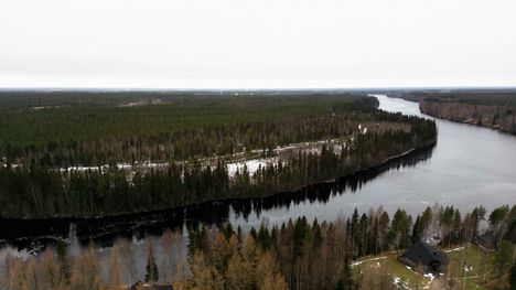 STT: Datakeskustyömailla epäiltyjä laittomia hakkuita 2 STT: Datakeskustyömailla epäiltyjä laittomia hakkuita 1