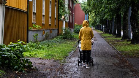 Uusi tutkimus löysi selityksen ”äitiaivoille” 1