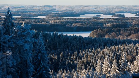 Voiko sukunimestä päätellä, mistä ihminen on kotoisin? Katso maakuntien yleisimmät sukunimet 4 Voiko sukunimestä päätellä, mistä ihminen on kotoisin? Katso maakuntien yleisimmät sukunimet 3