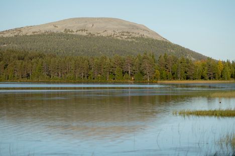Voiko sukunimestä päätellä, mistä ihminen on kotoisin? Katso maakuntien yleisimmät sukunimet 8 Voiko sukunimestä päätellä, mistä ihminen on kotoisin? Katso maakuntien yleisimmät sukunimet 7