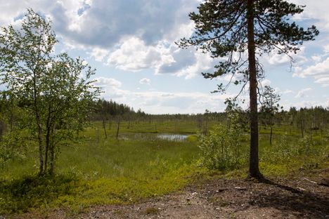 Krista Mikkonen vaatii kaivosveron nostoa kuuteen prosenttiin ja uutta kaivannaisjäteveroa 5
