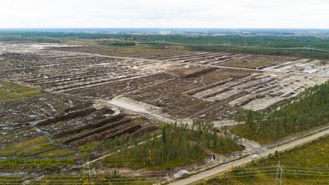 Google-kohun valtaamassa Muhoksessa virkamiehet tavoittamattomissa ja rakennusvalvonta tyhjillään 1