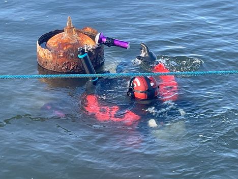 Helsingin edustalta merestä löydetty mysteeriesine on Neuvostoliiton torpedon osa 3