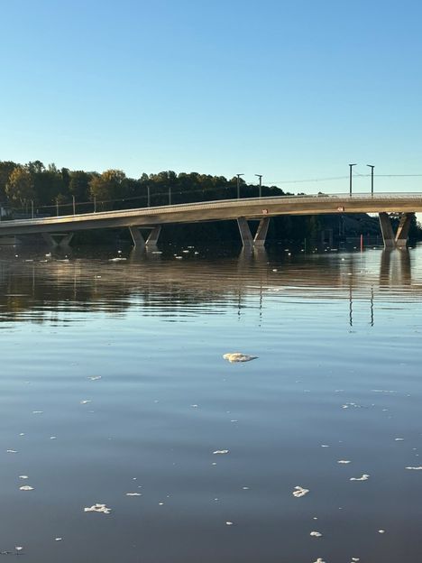 Hämmentävä näky Helsingissä – vaahto valtasi meren 7