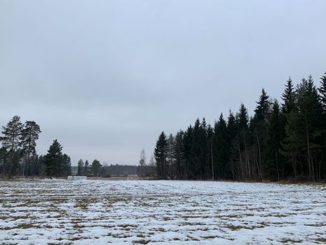 Ilmakehässä saattaa tapahtua pian romahdus – muutos voi näkyä päivissä 3