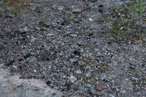Rappiostriimaajaa epäillään laavupalon sytyttämisestä Kirkkonummella 5