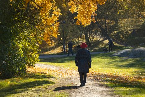Lämpötila nousee loppuviikosta, mutta viileys palaa nopeasti 5