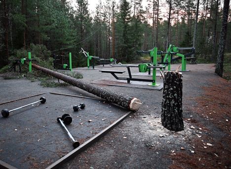 Sarjasahaajan esitutkinta valmistui Lounais-Suomessa 2 Sarjasahaaja Pyytjärvellä
