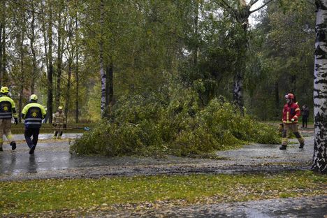 Tiistaina vaarallisen kova tuuli: sähkökatkot ja tuulivahingot todennäköisiä 7
