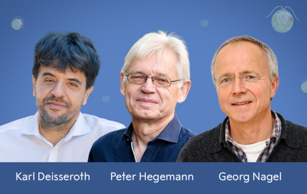 Kolmikko sai Nobelin fysiologian tai lääketieteen palkinnon optogenetiikasta 2 Kolmikko sai Nobelin fysiologian tai lääketieteen palkinnon optogenetiikasta 1