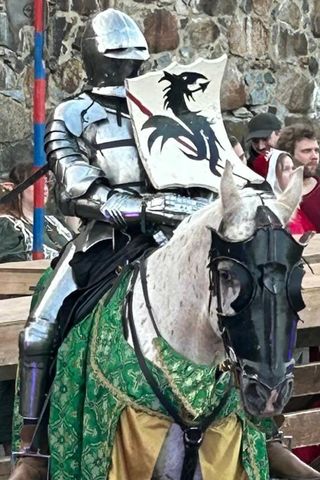 Uusi valtakunnansovittelija Nikolas Elomaa harrastaa ritariratsastusta 4 Uusi valtakunnansovittelija Nikolas Elomaa harrastaa ritariratsastusta 3